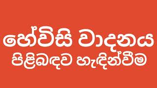 හේවිසි වාදනය පිළිබඳව හැඳින්වීම | Hewisi waadanaya | සංගීත පාඩම