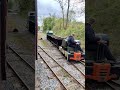 Demonstration skip wagons on Leighton buzzard railway