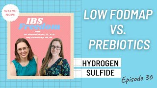 Low FODMAP vs Prebiotics for Hydrogen Sulfide SIBO from IBS Freedom Podcast