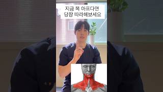 📌목이 뻐근하다면 당장 따라 해야하는  극락 스트레칭