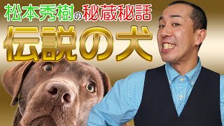 【世界で伝説】となった犬の凄い話！松本秀樹の秘蔵秘話 -予告-「飛行機」