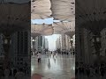 pelataran masjid nabawi 2024 🥹🥹🥹 masjidnabawi mekkah kabah