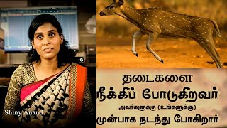 தடைகளைத் தாண்டும் மான் / Thadaikalai thandum maan / Short Sermon / Shiny Anand