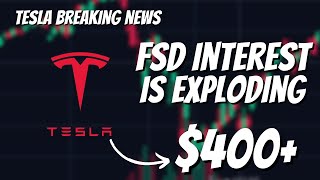 BREAKING NEWS: Elon Musk says "Tesla is an AI Company" | FSD/CyberTruck EXPLODING in Search Trends