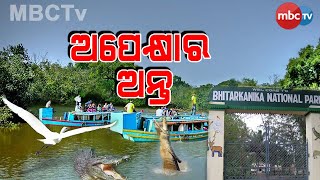 ଆଜିଠୁ ଖୋଲିବ ଭିତରକନିକା ଜାତୀୟ ଉଦ୍ୟାନ ||MBCTv