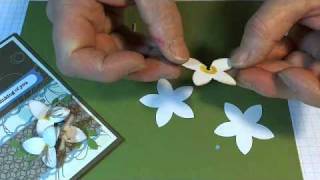 Lily made with 5 Petal Punch.wmv