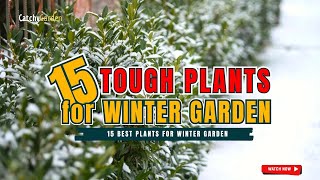 TOP 15 Best Plants for WINTER GARDEN 🌲🌼❄️ // Gardening Ideas