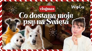 Vlogmas Wigilijny - Co moje psy dostaną na Święta? Pakuję prezenty dla Neli, Sophie i Kokusia