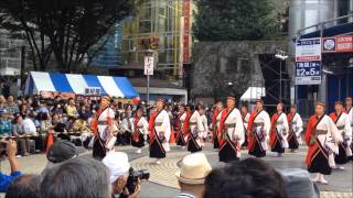 東京よさこい2014　　躍動