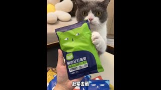 猫粮大羊毛来啦，9块9半斤5袋，赶紧去薅～#猫粮 #新手养猫 #猫咪零食