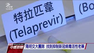 陽明交大發掘4種潛力老藥 研發抑制新冠病毒活性藥物 20210223 公視中晝新聞