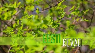 Eesti kevad | Estonian spring