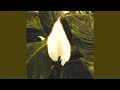 Candlelight Waltz