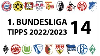 Bundesligatipps 1.Liga - 14.Spieltag - Saison 2022/2023