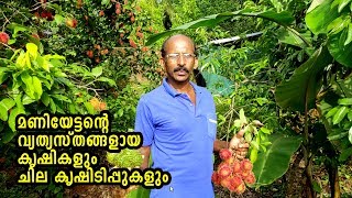 മണി ഏട്ടന്റെ  വ്യത്യസ്തങ്ങളായ കൃഷികളുംചില പൊടികൈകളും IMIXED FARMING