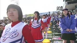 愛媛県立西条高等学校(第81回選抜高等学校野球大会)