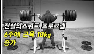 6주에 근육 10kg! 전설의 스쿼트 프로그램!