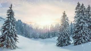 Зима, снег, красота и музыка