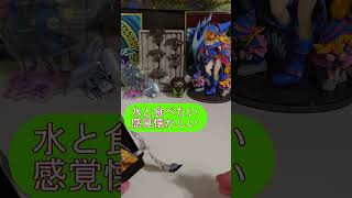 【遊戯王マンチョコ２】クリボーはシール化した？【開封】