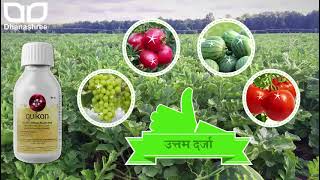 Quikon / Best Biotimulant / सर्वोच्च पोषक   #farming #trending #tomatofarming