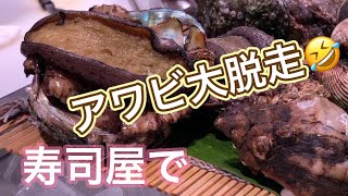 【巨大アワビ大脱走】寿司カウンターから逃げろー🤣