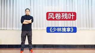 特警教官：少林擒拿第五式 风卷残叶