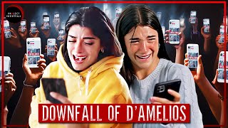 The Downfall of the D'Amelios. (And why its inspiring)