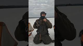 Giant Lake Trout Caught on Noodle Rod Ice Fishing BWCA 2023 #shorts