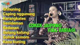 Cokek_ Jaipong_ Full_ Variasi_ Audio_ Gleeeeerrrr