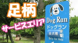 ドッグランのある足柄サービスエリアが最高♪夏休みに向けて運転練習してきた