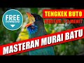 MASTERAN MURAI BATU 🔴 suara tengkek buto untuk menambah variasi materi. Berjeda 1-3 menit