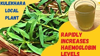 कुलेखरा द्वारा हीमोग्लोबिन तेजी से कैसे बढ़ाएं|Highly effective Kulekhara to fight anemia|Tearecipe