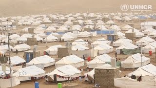 Iraq: Winter help for displaced Iraqis