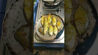 ପଖାଳ ପାଇଁ ମାଛ ଭଜା ହେଲା 👌#shorts #shortvideo #shortsfeed #fishfry #barshaodiarosei