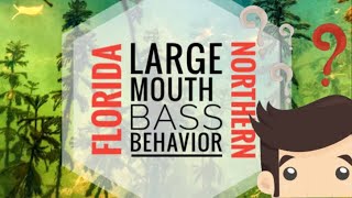 The bass aren't biting? Large mouth behavior!