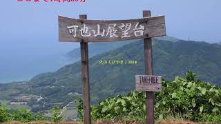 2019 06 05福岡県糸島市・可也山（かやさん）365mのマルバノイチヤクソウ