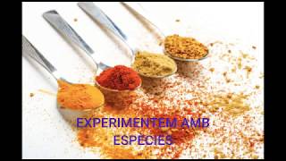 Activitat d’experimentació amb aliments