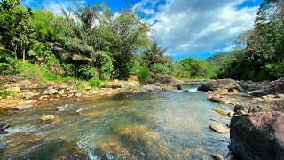 Escape to a Serene Stream Paradise: Peaceful Flowing River Sounds with Picturesque and Forest view