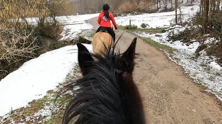 Terensko jahanje do jezera Jarki (Kas/Galop)