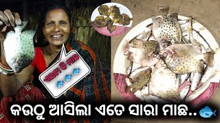 କଉଠୁ ଆସିଲା ଏତେ ସାରା ମାଛ...🐟||ଏଇଟା କି ମାଛ..🐟||@Gudusangitavlogs