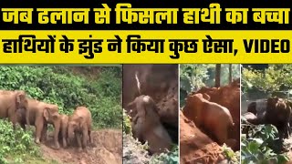 Viral Video: जब ढलान से फिसल गया हाथी का बच्चा, देखें हाथियों के झुंड ने कैसे किया रेस्क्यू