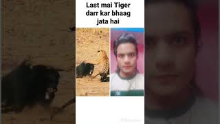 Tiger Darr kar bhaag Gaya | 😱 🐆 reaction video #viral #shorts