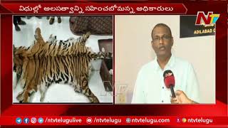 టైగర్స్ ని కాపాడేది ఎవరు..? Adilabad District Tiger Conservation Neglect | NTV