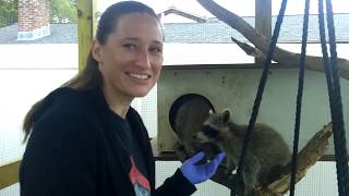 Tour of Newhouse Wildlife Rescue Part 2, with Jane Newhouse,  OCT 3, 2019