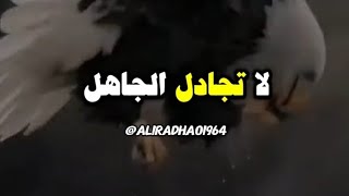 لا تجادل الجاهل لانه لم يفهم .....