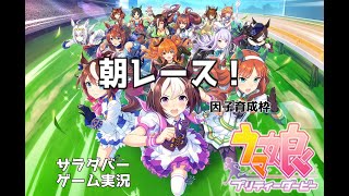 【ウマ娘】目指せ一着！マヤノトップガン育成_01【天皇賞・春】