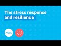 The stress response and resilience | Xero