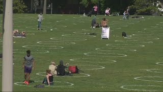 Social Distancing Circles Painted On Grass At Dolores Park