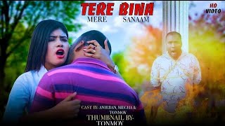 Tere Bina | Heart Touching Love Story | Ajeet | Hindi Song | Ek Pagal Ladki Ki Kahani | RT brothers