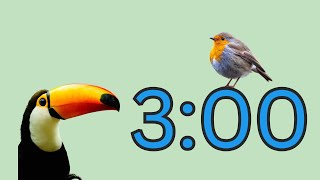 3 minute timer with music for classroom | Birds